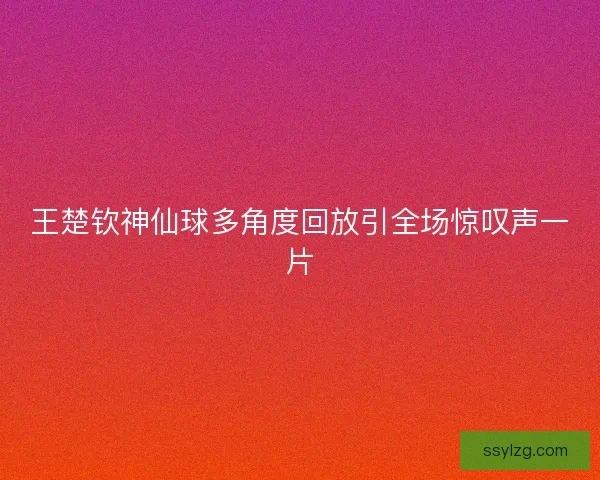 王楚钦神仙球多角度回放引全场惊叹声一片