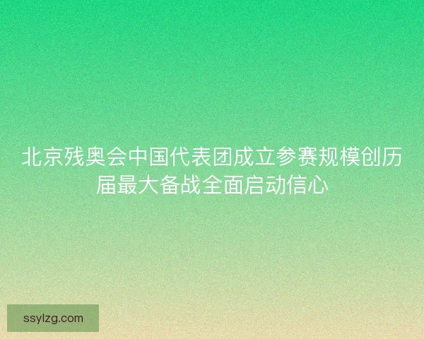 北京残奥会中国代表团成立参赛规模创历届最大备战全面启动信心